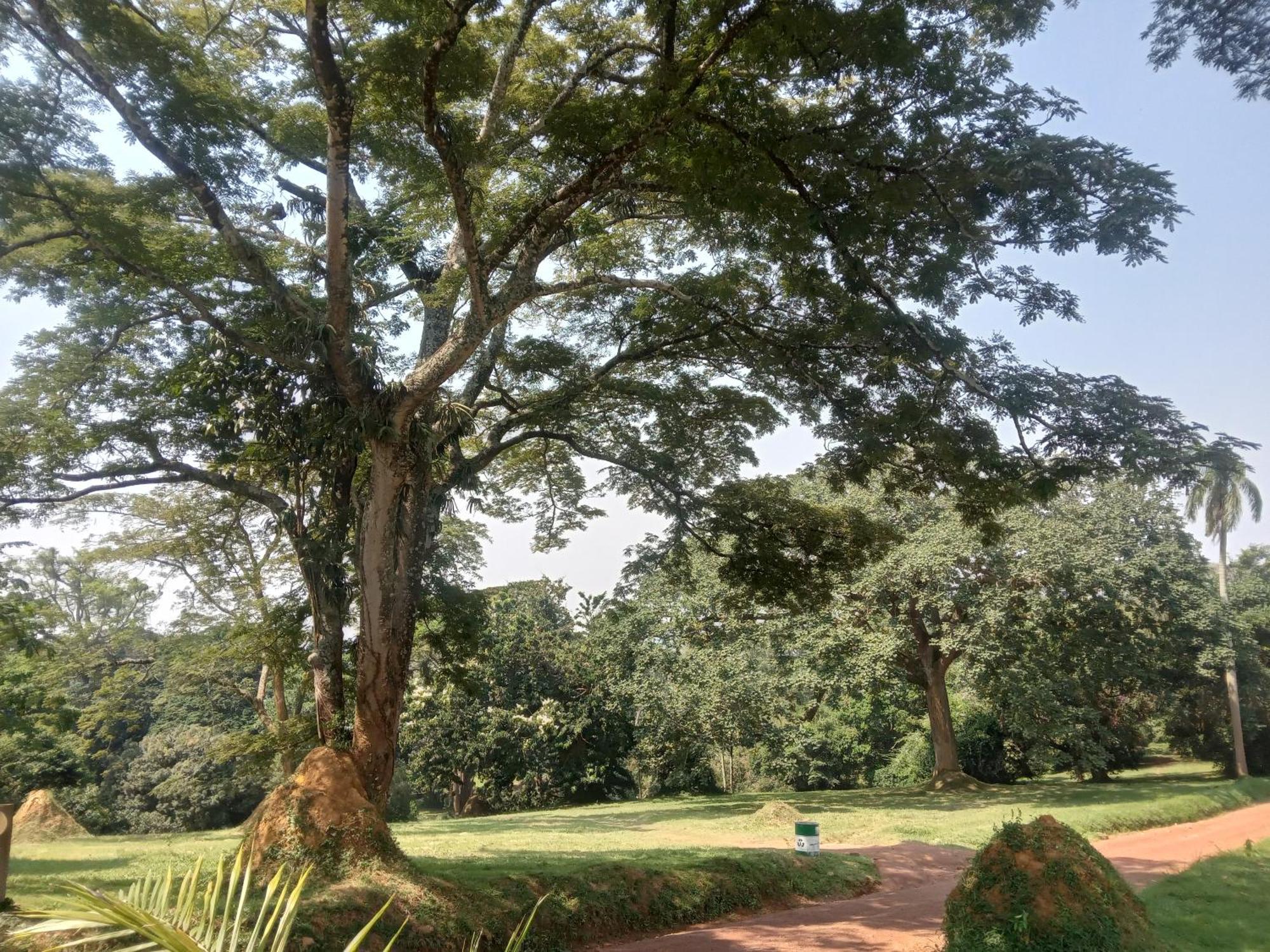 Mowicribs Hotel And Spa Entebbe Szoba fotó