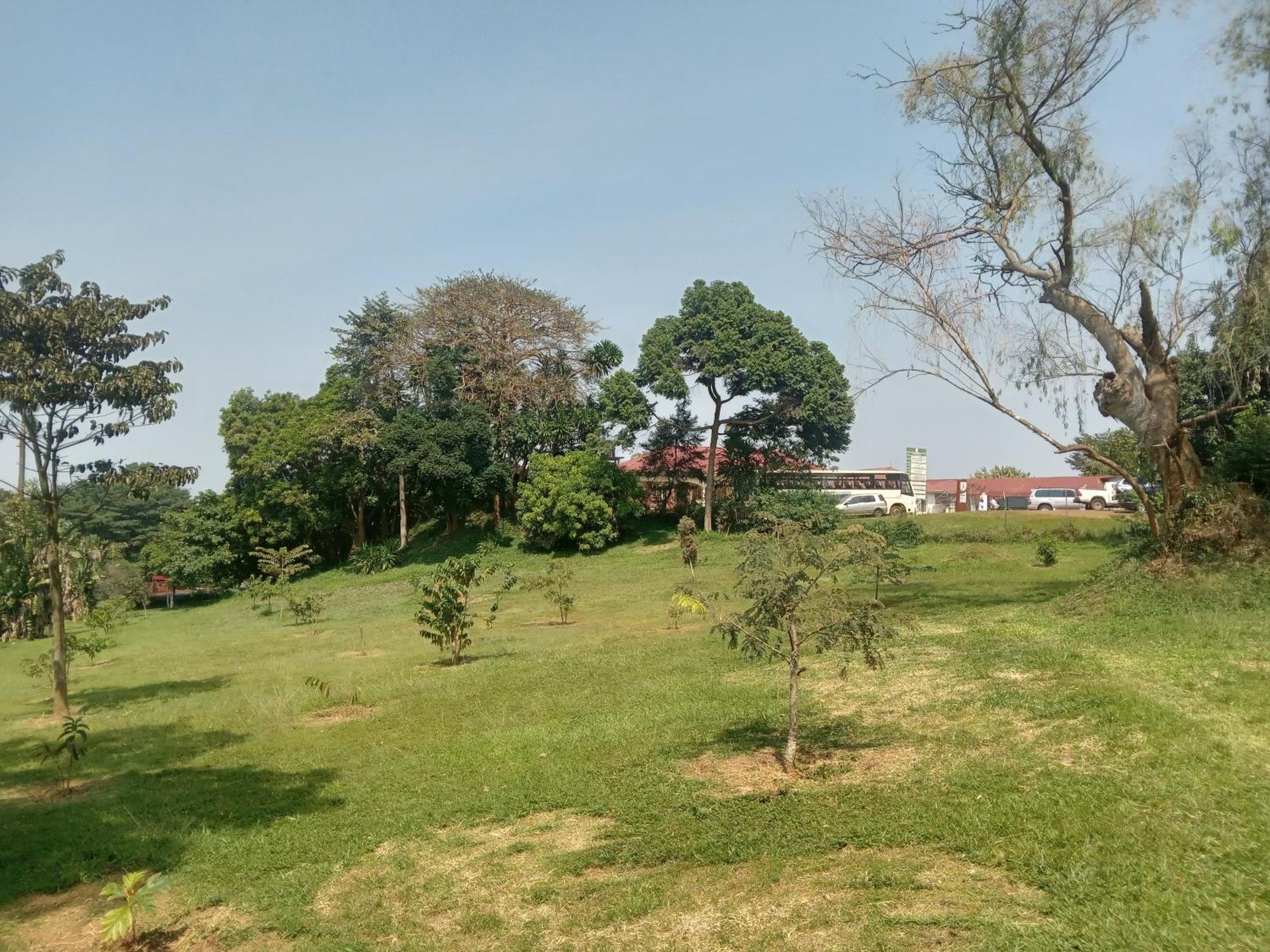 Mowicribs Hotel And Spa Entebbe Szoba fotó
