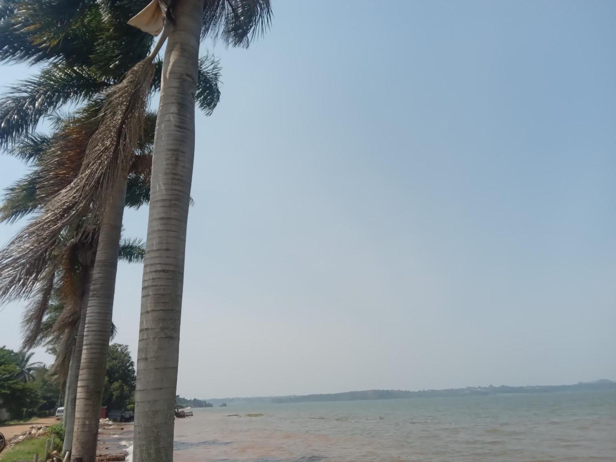 Mowicribs Hotel And Spa Entebbe Kültér fotó